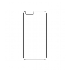 Защитная гидрогелевая пленка KST HG для Xiaomi Mi Note 3 на заднюю крышку